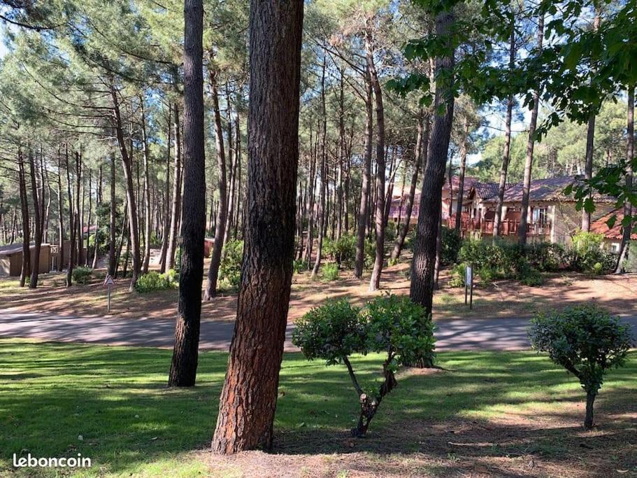 Apt T2 Calme Sur Golf, Piscine, Ocean 10 Min En Velo Lacanau Exterior photo